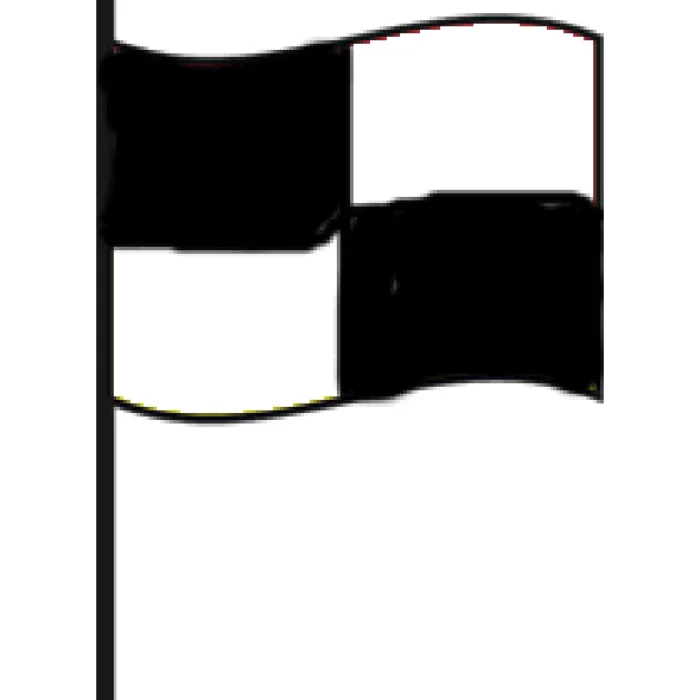 Racing Flag Stick – High-Quality Sports Accessory | RFS01